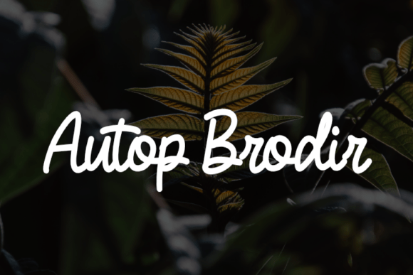 Autop Brodir Font Review for Modern Web Design
